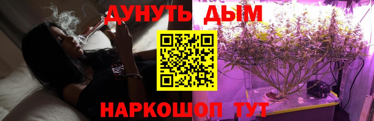 МАРИХУАНА план Карталы